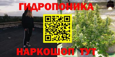 СК Тверь
